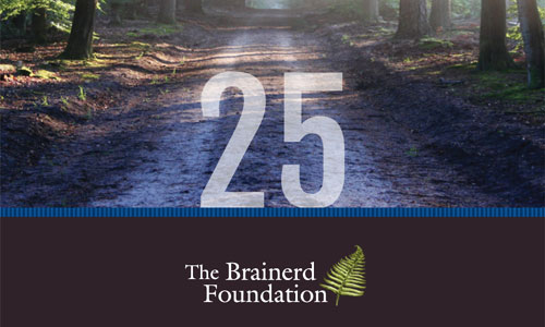 Cover of the 25th anniversary brochure, showing sunlight streaming through a forest
